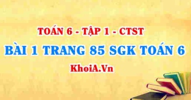 Bài 1 trang 85 SGK Toán 6 Chân trời sáng tạo Tập 1